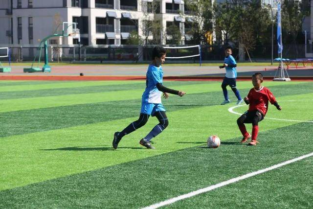 杨瀚森17+18青岛击败山西 周鹏29分深圳胜福建